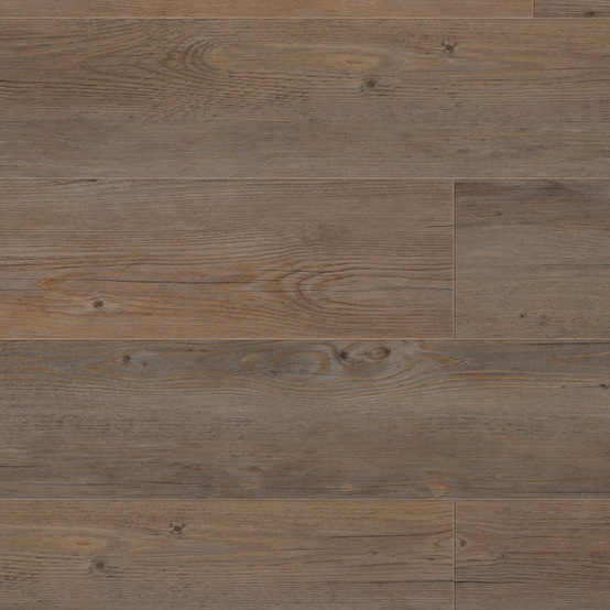 0359 Wild Oak