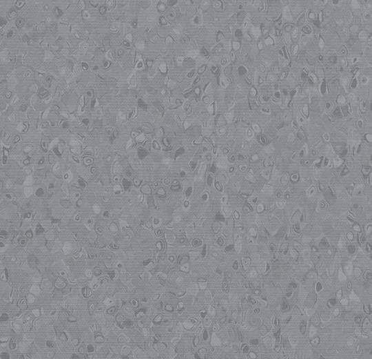 50005 dark neutral grey