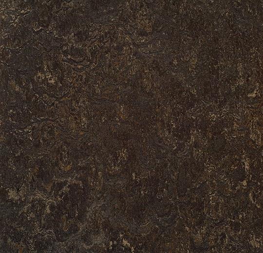 323635 dark bistre