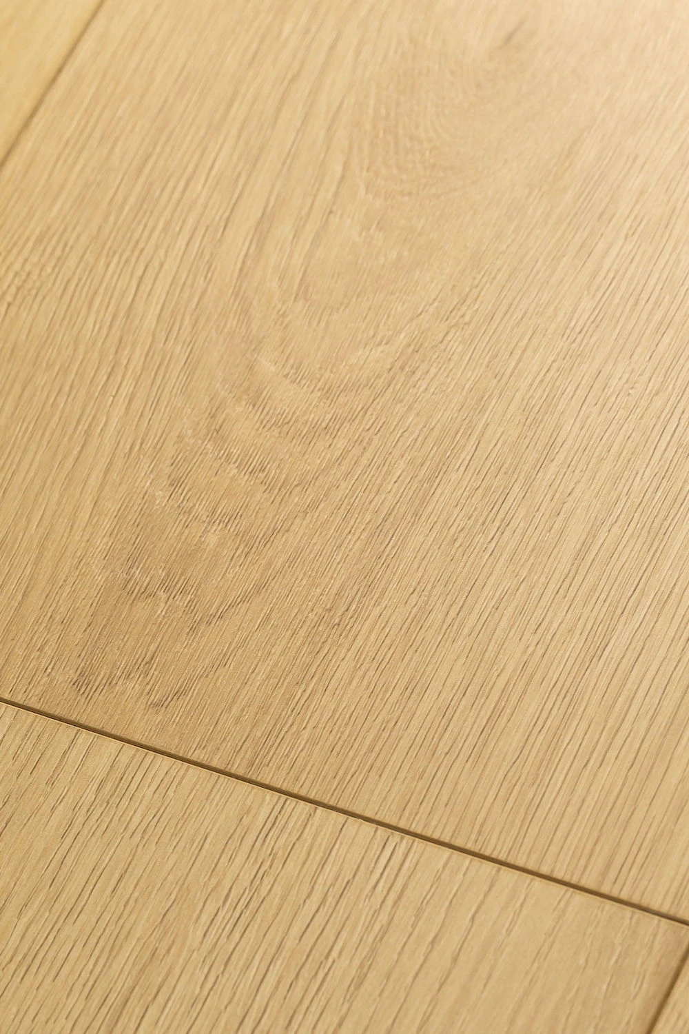 Дуб Валентия | Valentia oak 1F301