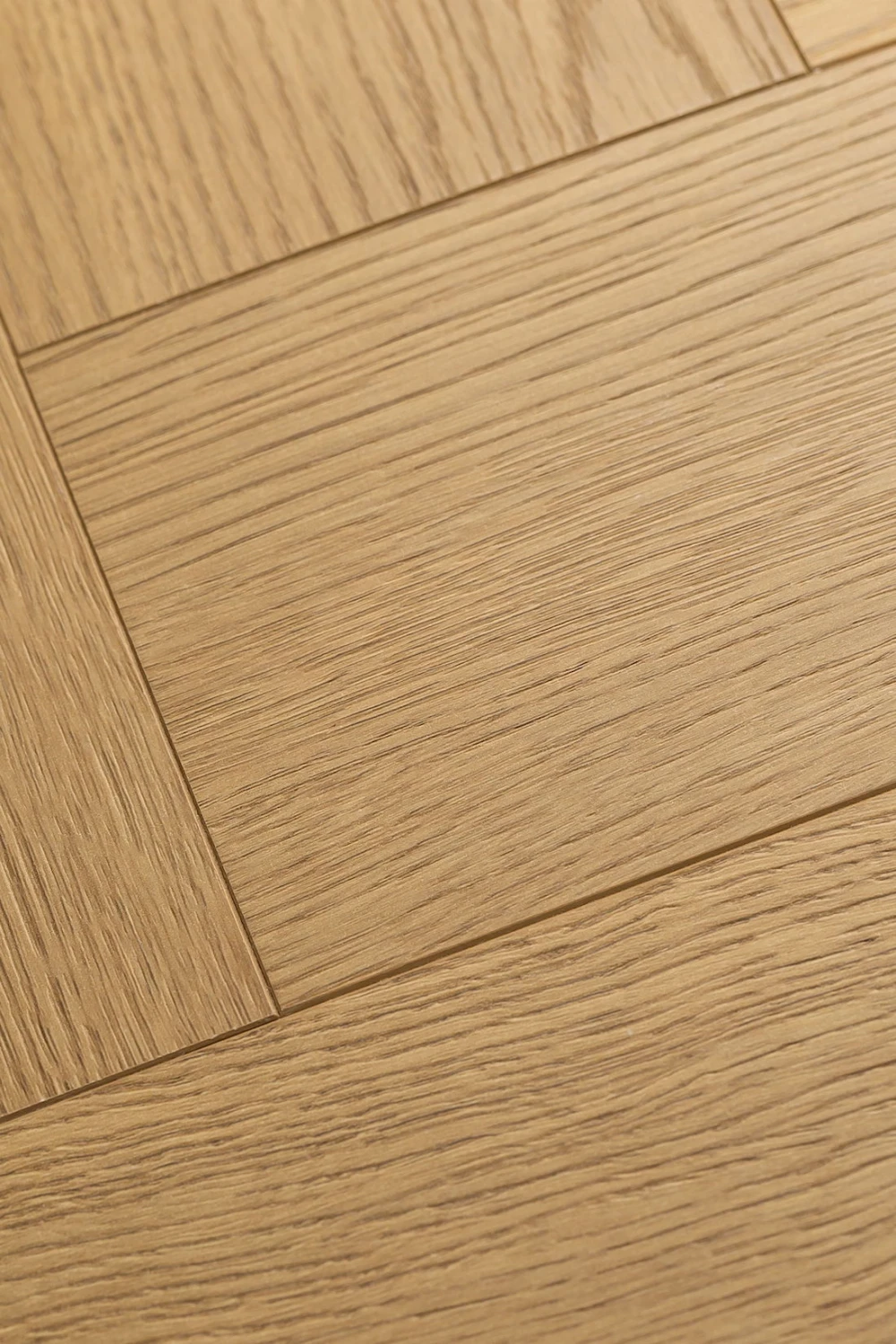 Дуб Новарис | Novaris oak 1F341