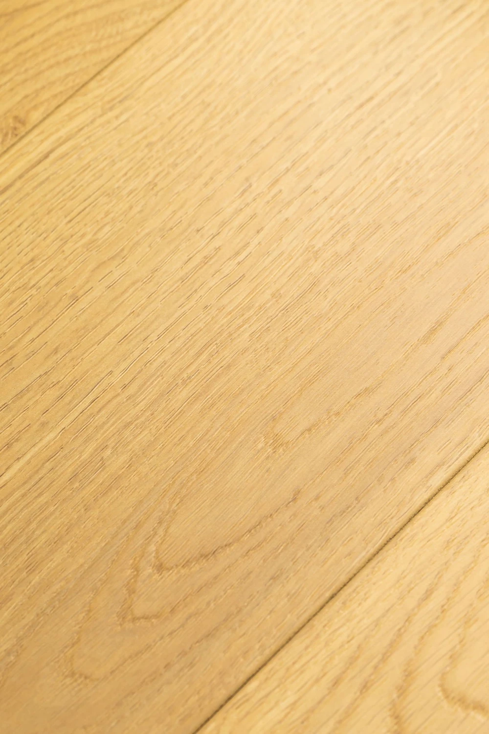 Дуб Твилль | Tvill oak 1F419