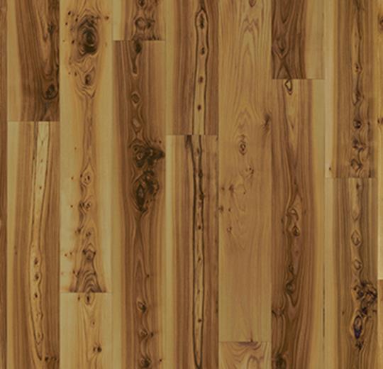 010012 light elm