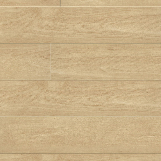 0335 Sycamore