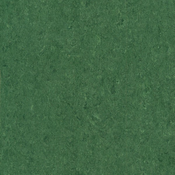 121-041 avocado green