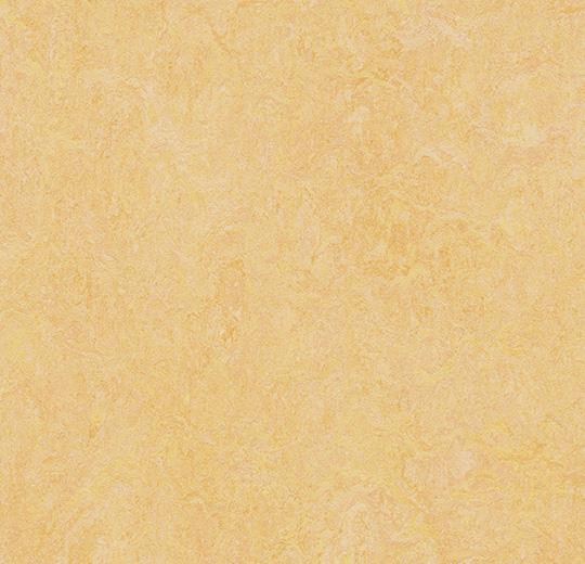 384635 natural corn