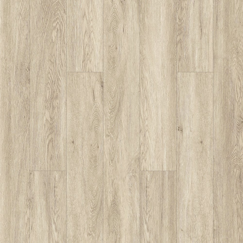 Kortes 1041