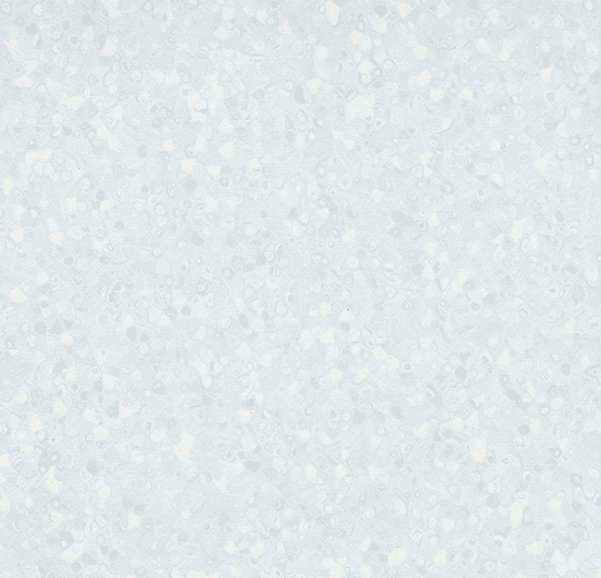 550007 grey sky