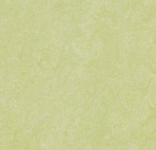 388135 green wellness