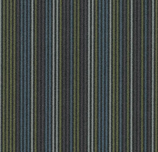 t550004/t553004 Complexity navy