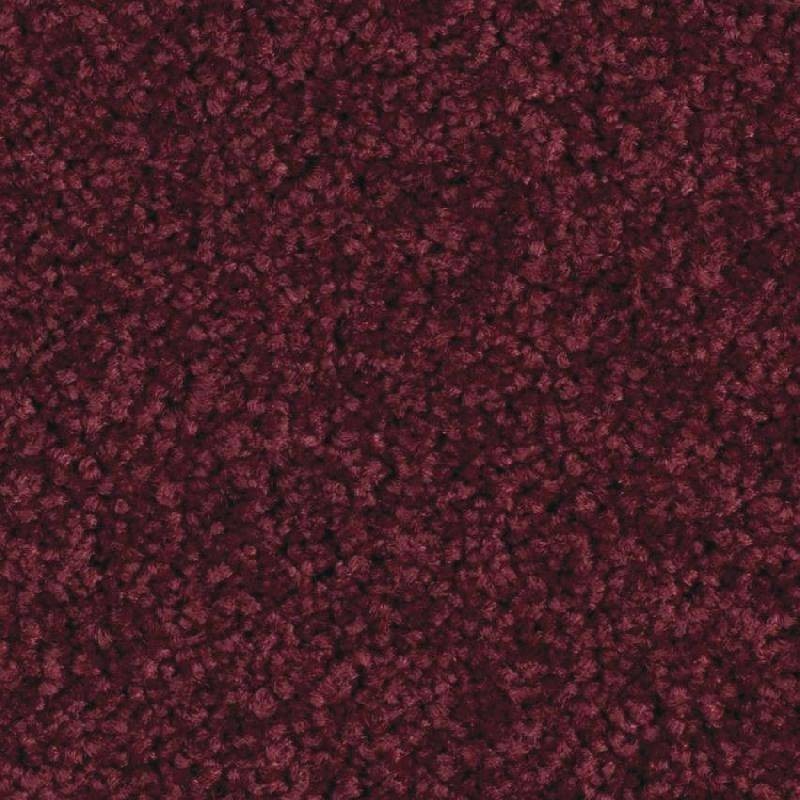 590 