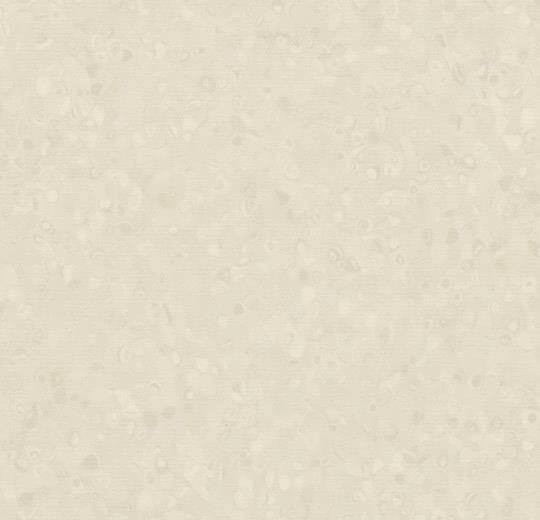 50022 shell