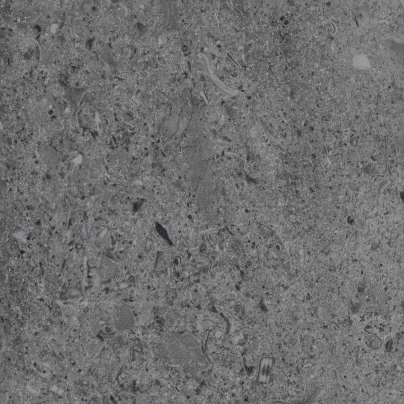 8509 WATER LIMESTONE DARK GREY