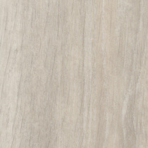 0373 Noma Ice