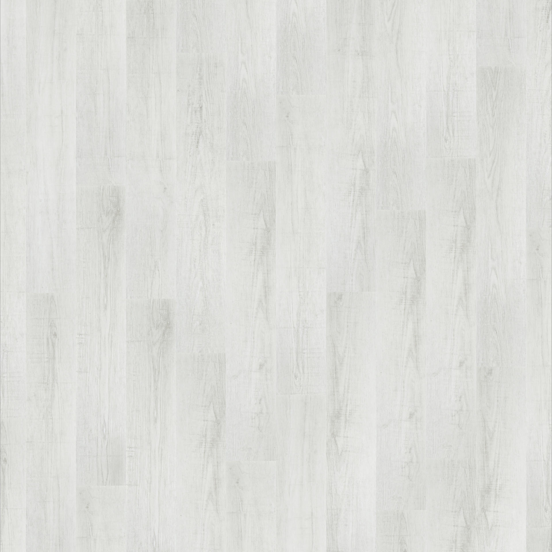 SERENITY 230179011
