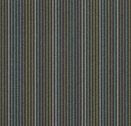 t550003/t553003 Complexity charcoal