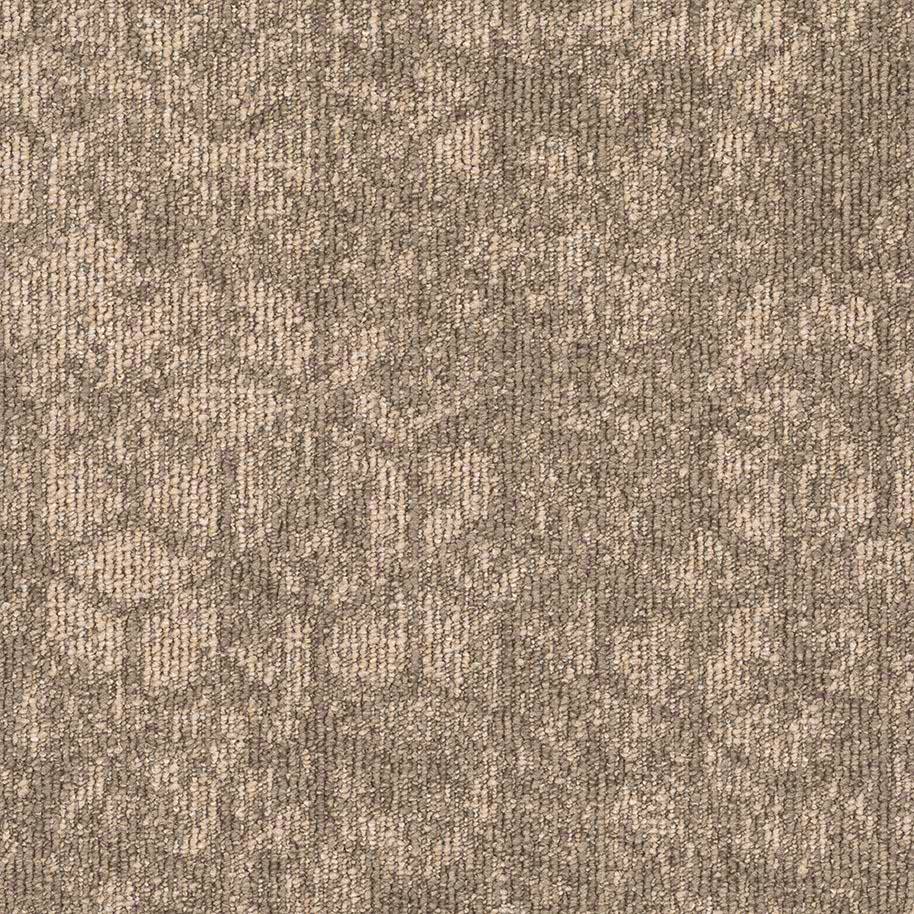 Beige 619320