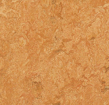 317435 Sahara