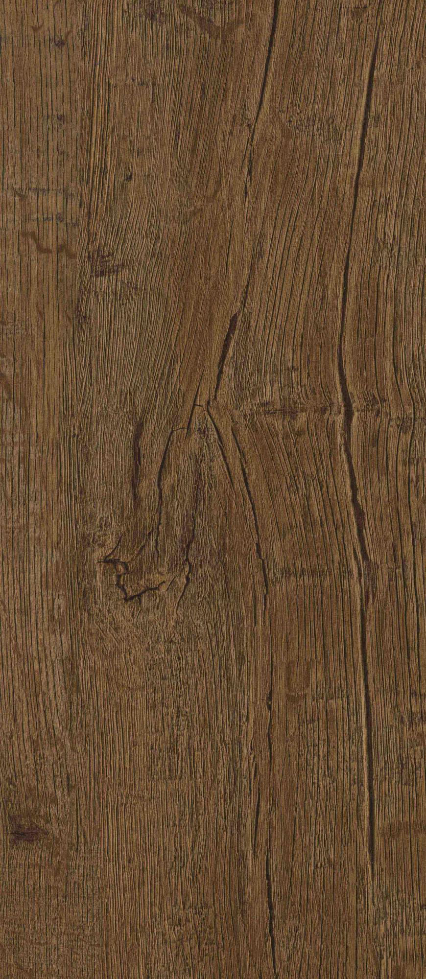 8222 ANTIQUE NUT TREE
