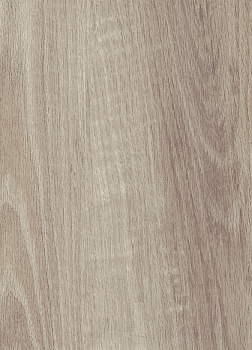 3101 CASHMERE OAK