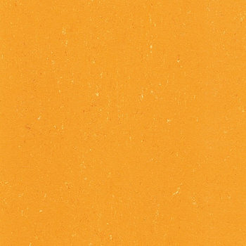 131-171 sunrise orange