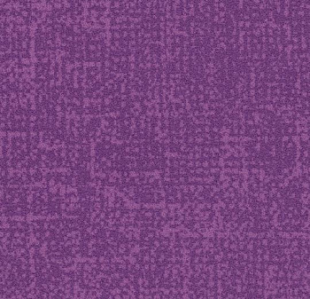 s246034 Metro lilac